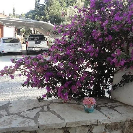 Casa Di Giorgio Nikiana